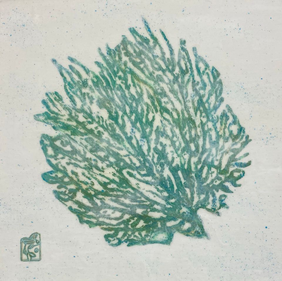 Aqua Sea Fan