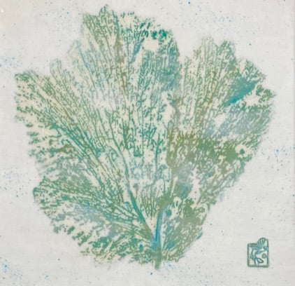 Lace Sea Fan