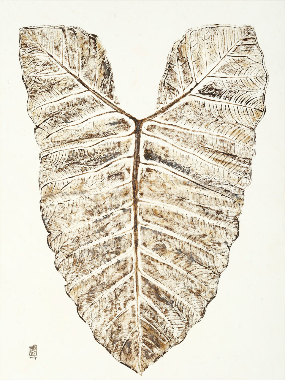 Elephant Ear Taro