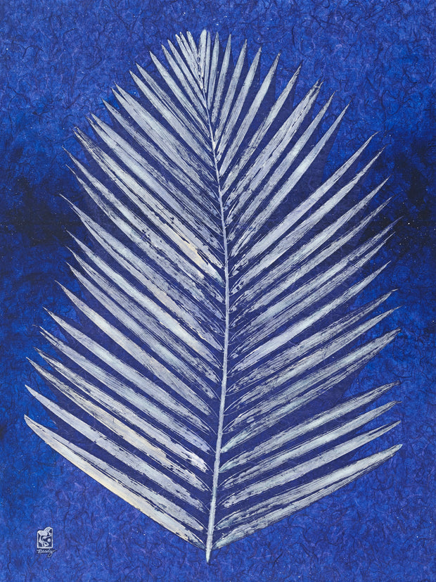 Blue Areca Palm