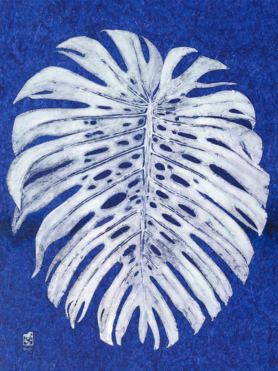 Monstera
