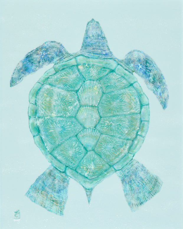 Baby Blue Honu