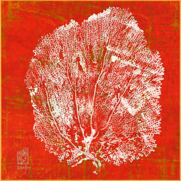 Red Nepal Sea Fan #2