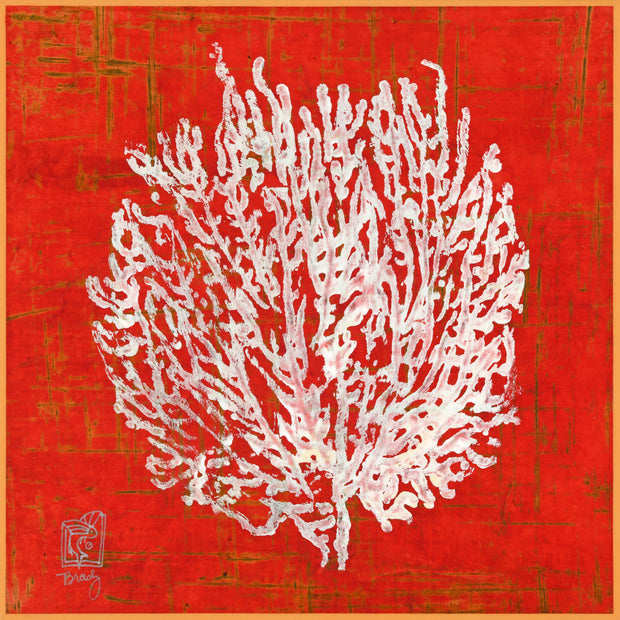 Red Nepal Sea Fan