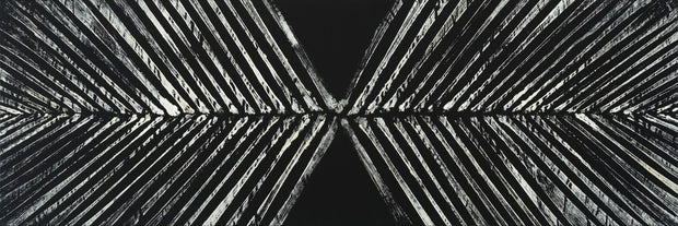 Black Cocos