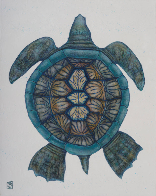Maui Honu